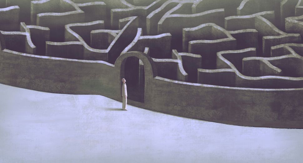 A person stands in front of a maze